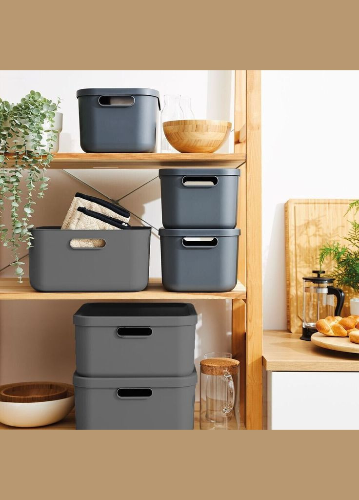 Контейнер для зберігання речей з кришкою Albula 20 л (10557) Rotho (334007169)