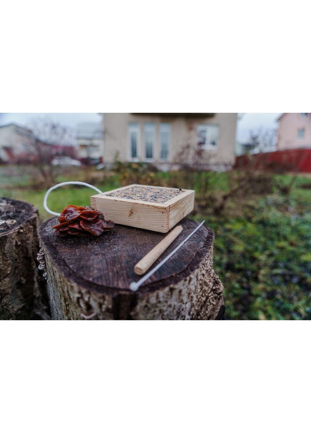 Подвесная кормушка с кормом "Птичье тирамису" No Brand (360655644)