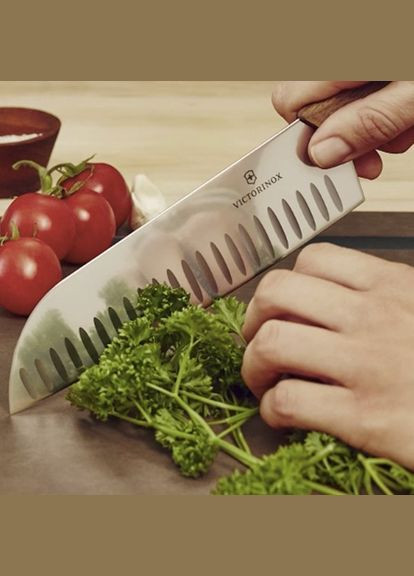Кухонный нож Swiss Modern Santoku 17 см 6.9050.17KG Victorinox (316616535)