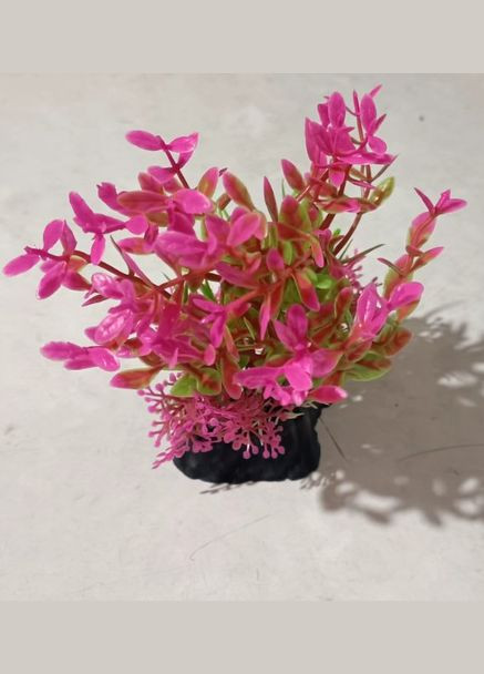 Растение пластиковое водоросли искусственные 3в1, розовое облако 16х11 см Chico'S (314878830)