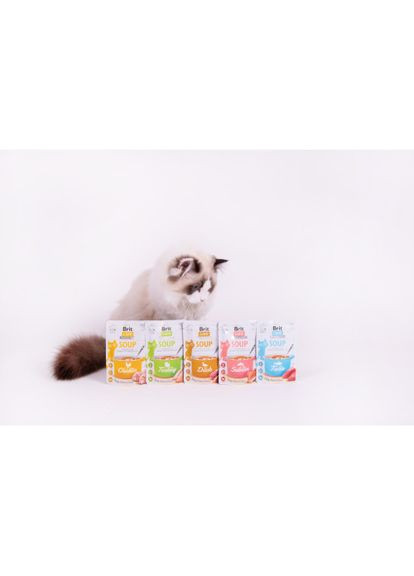 Корм влажный "Суп для кошек Soup with Salmon с лососем", 75 г (*) Brit Care (322591454)