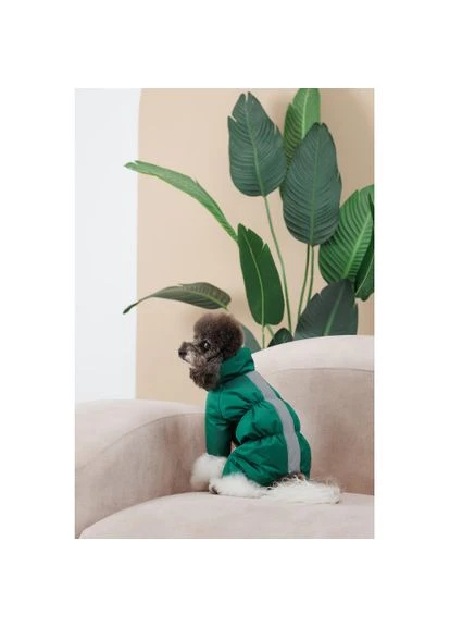 Комбінезон EGO для собак (*) Pet Fashion (326602720)