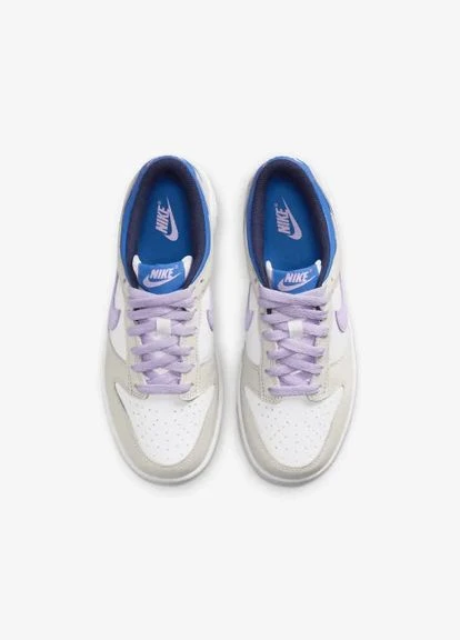 Кросівки Dunk Low GS Nike (307060226)