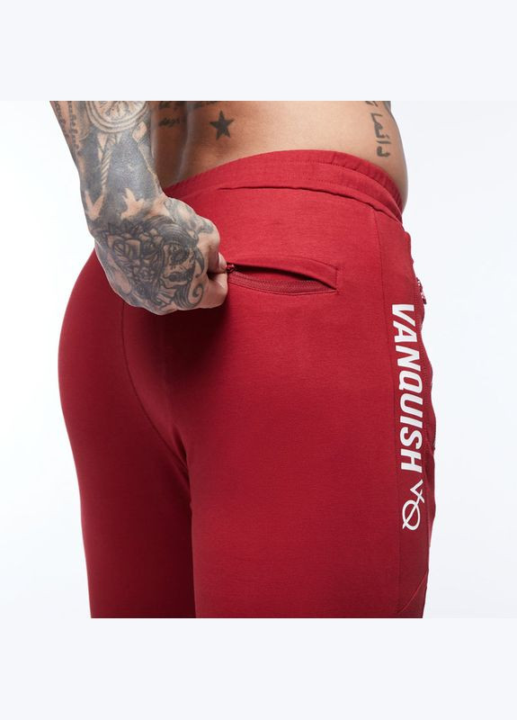 Красные повседневный демисезонные брюки VQH