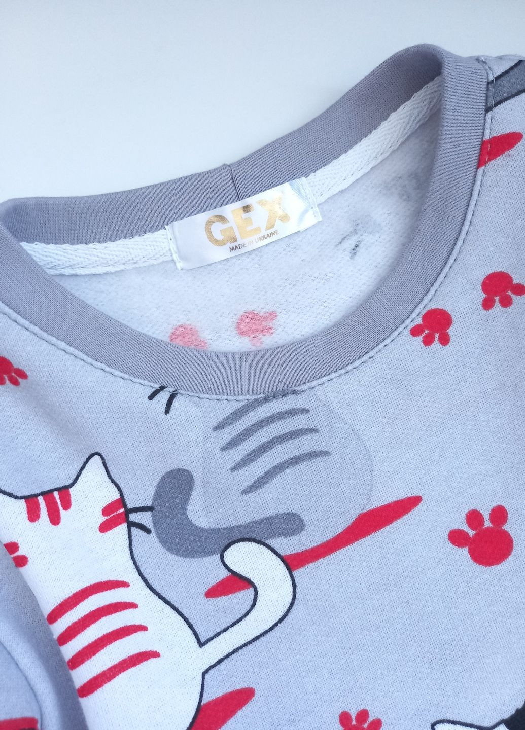 Сірий демісезонний костюм два кота GEX Костюм