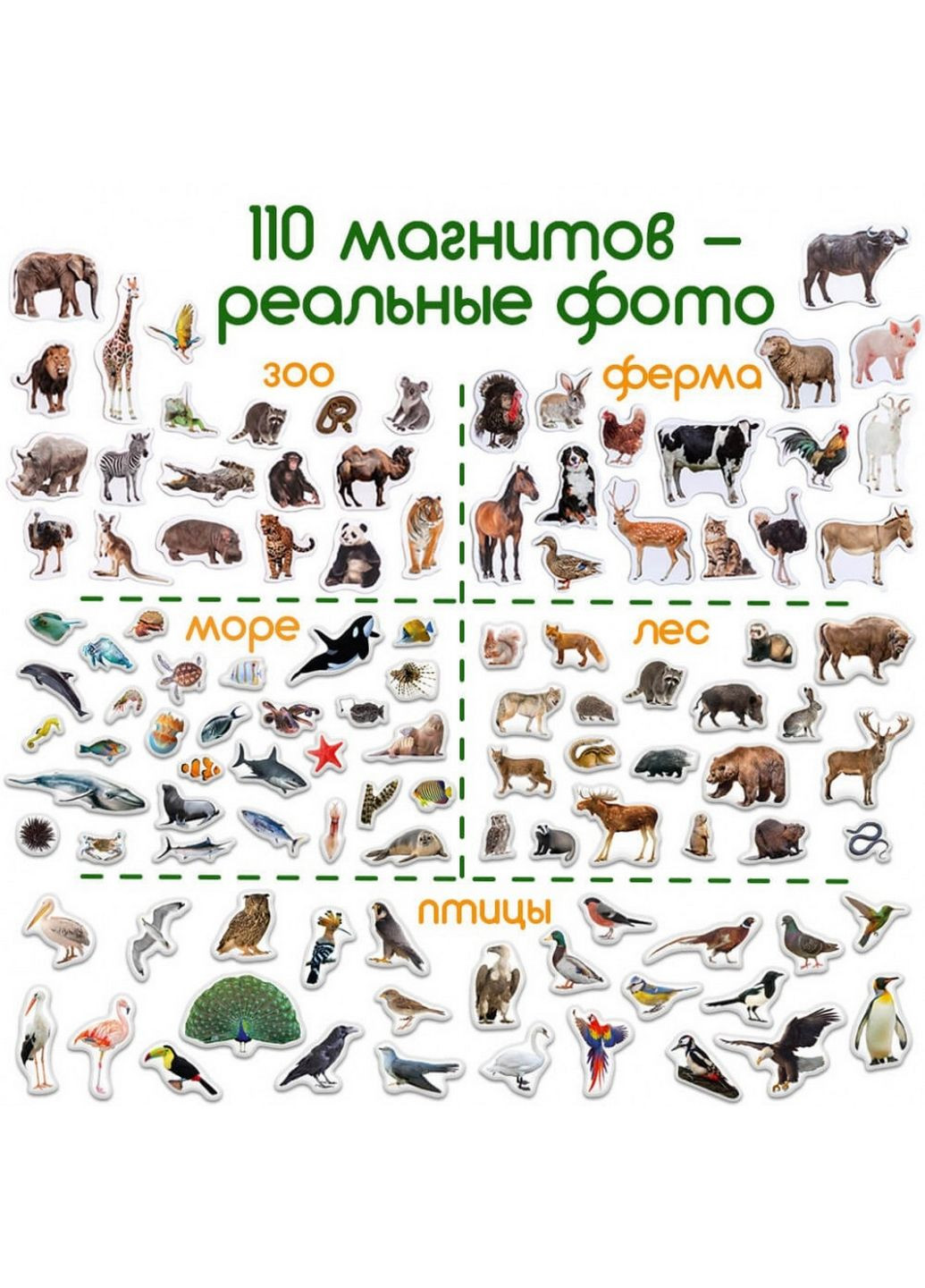 Дитячий подарунковий набір магнітів Тварини 19х9х14 см MAGDUM (289460936)