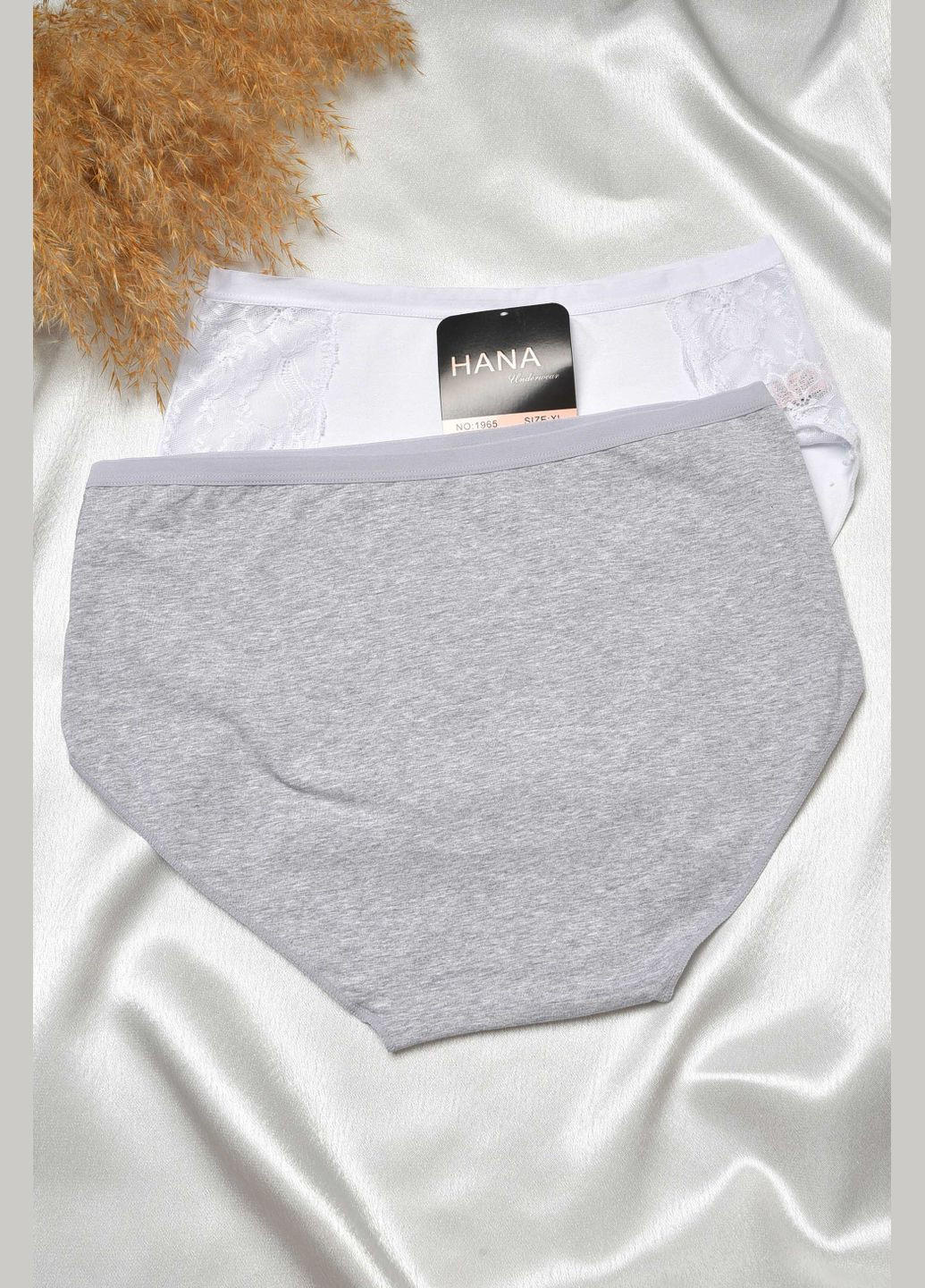 Набор трусов женских полубатальных 2 штуки Let's Shop (302859358)