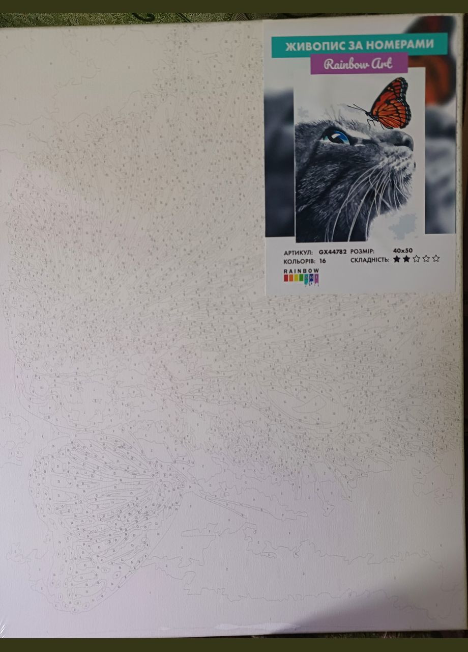 Картини за номерами коти Картини в цифрах Тварини 40х50 Картина-розфарбування по номерах Кішка з метеликом GX44782 Rainbow Art (308989206)