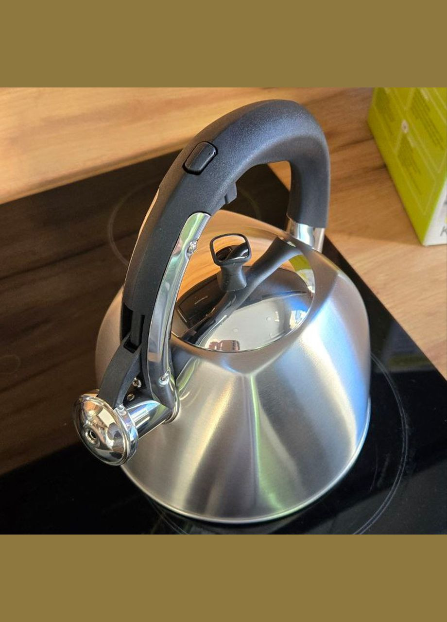 Чайник зі свистком для плити 3 л (MR-1333) Maestro (334712888)