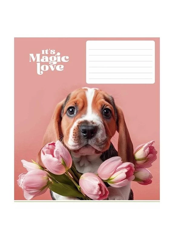 Зошит учнівський "It's a magic love" 012-3300L-5 в лінію, 12 аркушів Школярик (300277134)