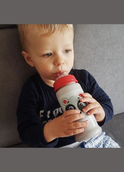 Бідончик з силіконовою насадкою Hello Little коала (бежевий) 56/510_bei Canpol Babies (301589783)