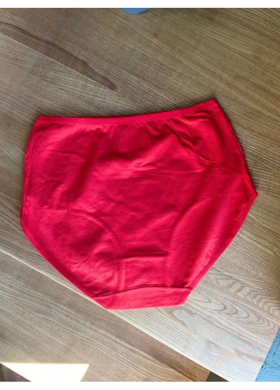 Женские высокие трусики слеп с широкими боками Beisdanna Сліп (361665824)