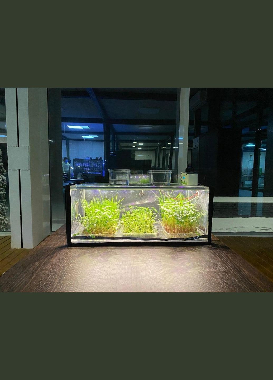 Пророщувач побутовий для насіння, мікрозелені та розсади GreenCap L з фітосвітлом та зволожувачем Samsung (300674528)