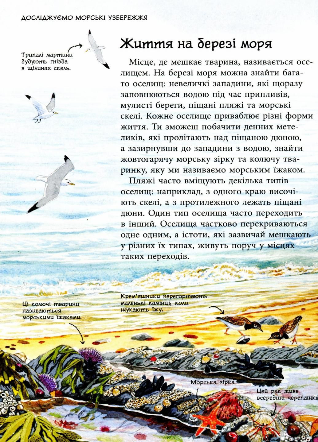 Книга Стежками природи : Океанічні й морські узбережжя. Автор Сара Таверньє С791002У 9786170956408 РАНОК (293148428)