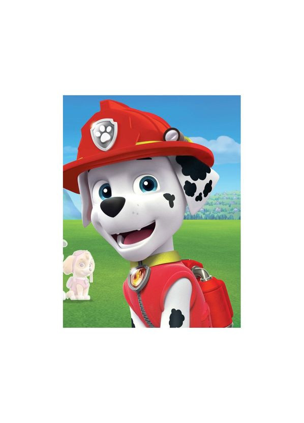 Книга з наклейками Щенячий патруль Безстрашні цуценята Ранок 192001 Укр Ranok Creative (311291081)