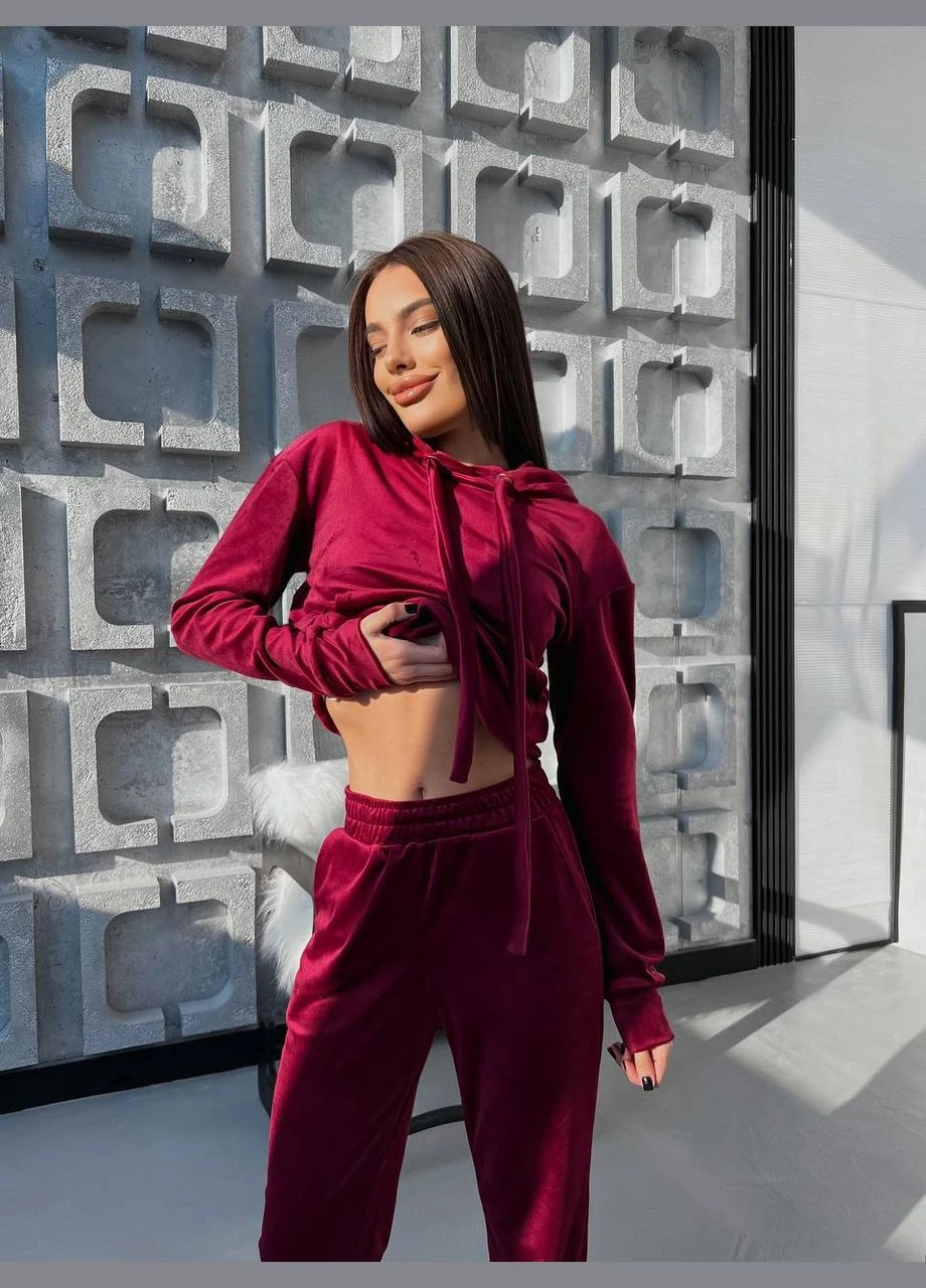 Спортивний велюровий костюм Fashion (325695847)