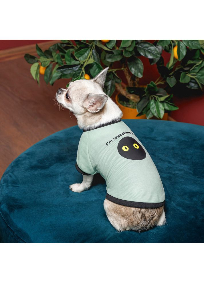 Футболка Oscar для собак хлопок трикотаж рибана голубая Pet Fashion (372504680)