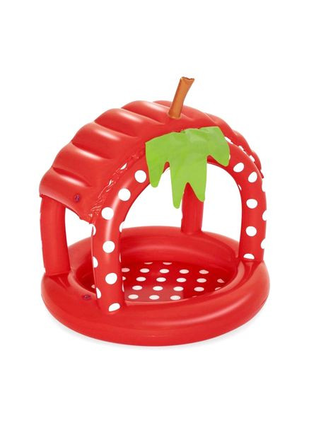 Бассейн детский надувной Ягода 91x91x91см (52387) Bestway (364114085)