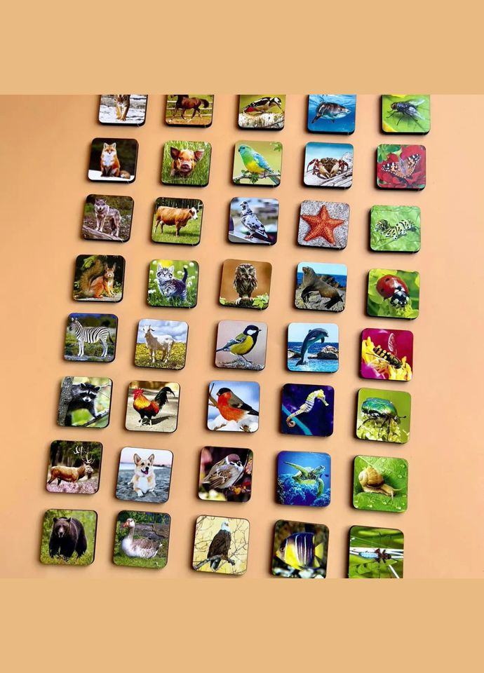 Настільна розвиваюча гра "Види тварин" (ПСФ110) PSF110 комодик сортер Ubumblebees (364127094)