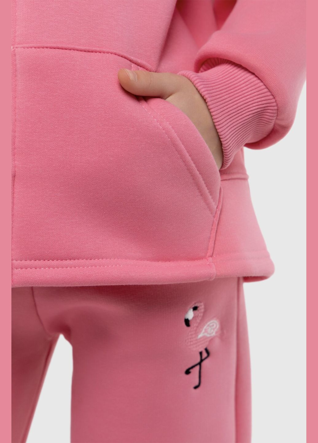 Спортивний костюм (худі, штани) для дівчинки 4610 110 см (2000990093318W) shop (2000990093318) Ecrin (269791256)