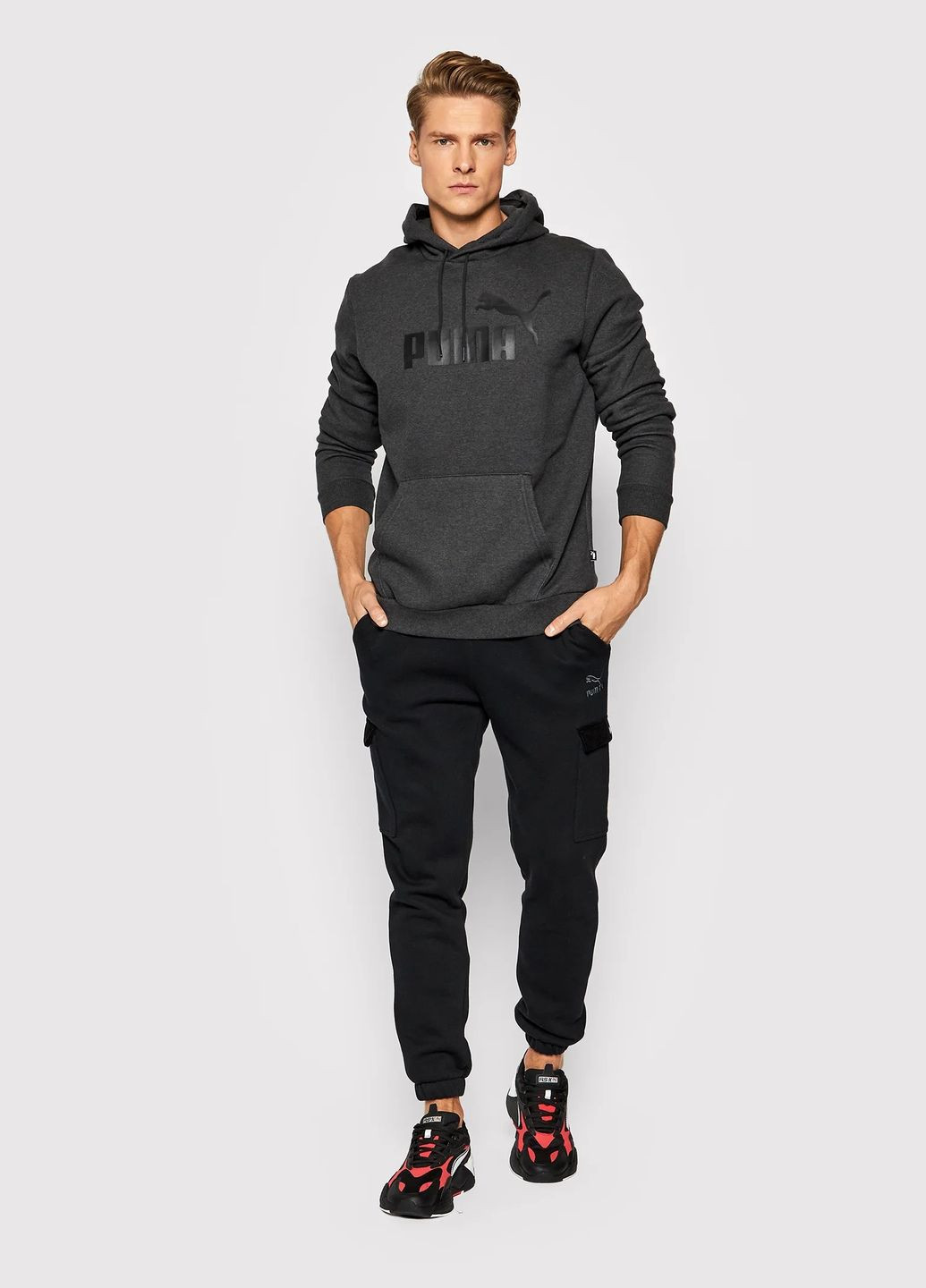 Худі Puma Essentials Big Logo 586688 07 (300102406)