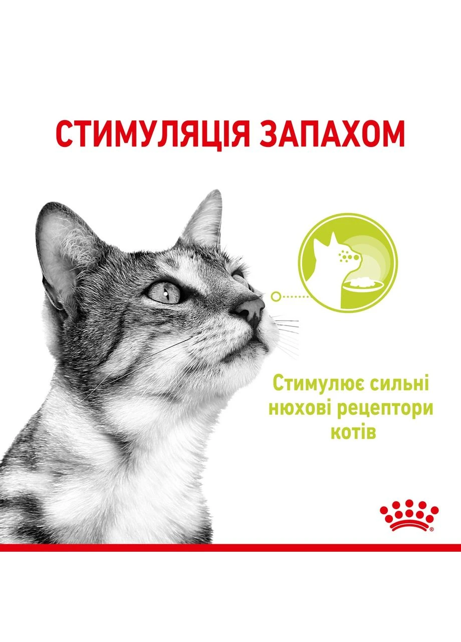 (Роял Канин) Sensory Smell Chunks in gravy 85 г - влажный корм для кошек стимулирующий нюховые рецепторы Royal Canin (402777659)