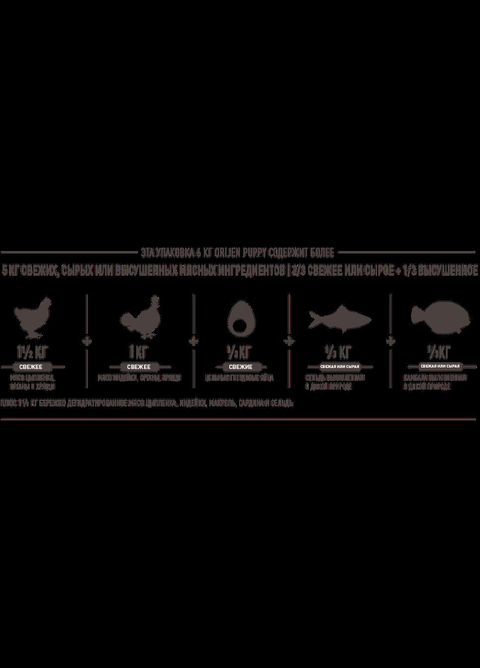 Puppy (Оридж Паппи) сухой корм для щенков 6 килограммов. Orijen (298995813)