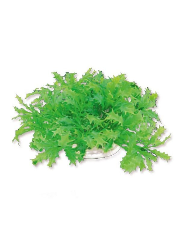 1F22 Штучна рослина, блістер, 10см Happet (360245479)