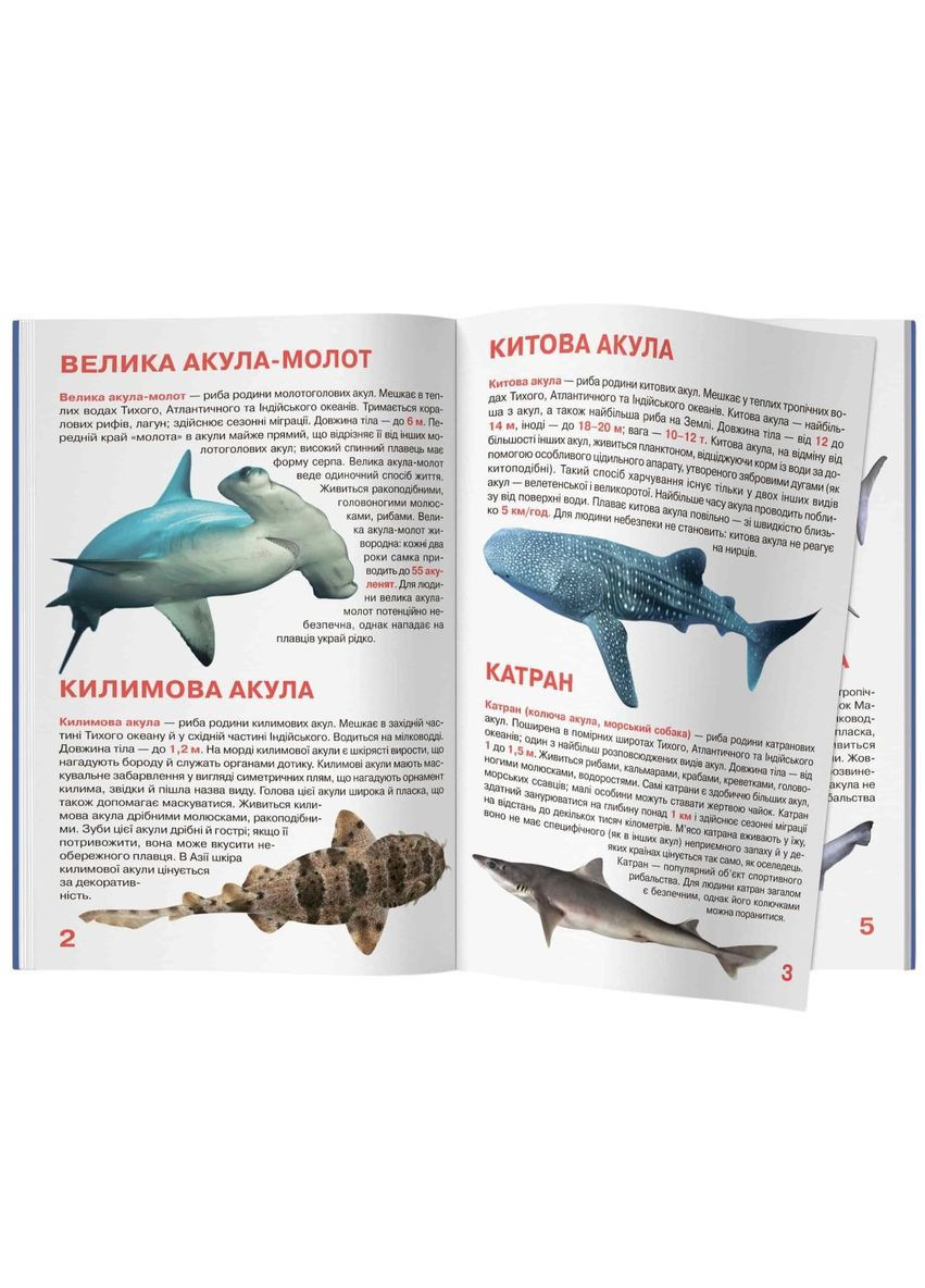 Мир вокруг нас. Большая книга. Акулы () Кристал Бук F00018784 (372129510)