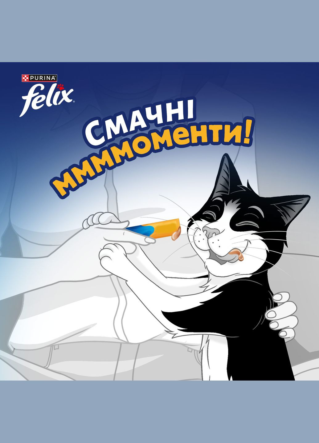 Вологий додатковий корм Смачні моменти для дорослих котів, з куркою, 4х10 г Felix (330007500)