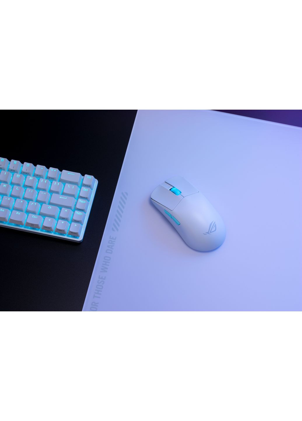 Мышь 90MP02W0-BMUA10 ROG Harpe Ace Aim Lab Edition, RGB, USB-A/WL/BT, Asus (372626186)