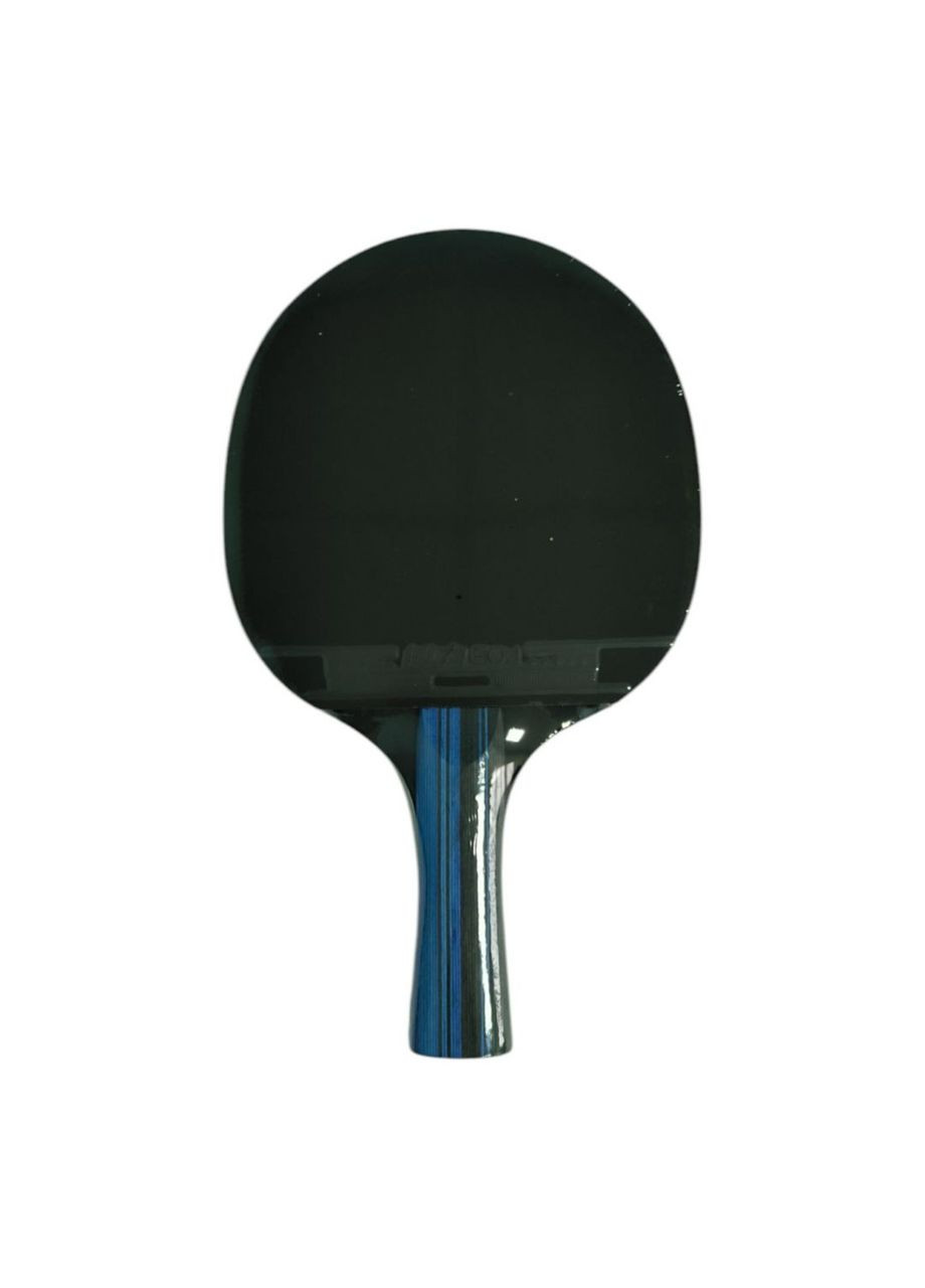 Набір для гри в настільний теніс SA10 ( ) SNS (316141273)