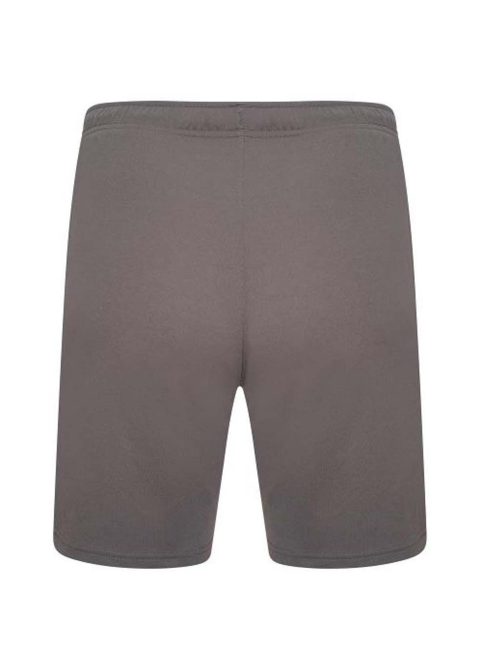 Шорти teamRISE Short сірий Puma (367601851)