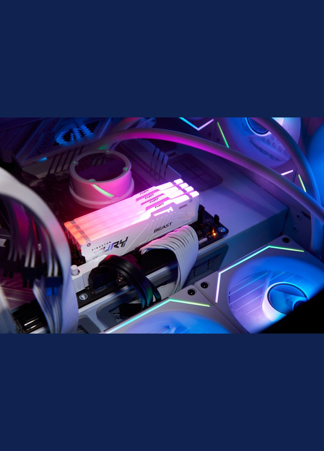 Память ПК DDR5 32GB 5600 FURY Beast RGB XMP Kingston (315702604)