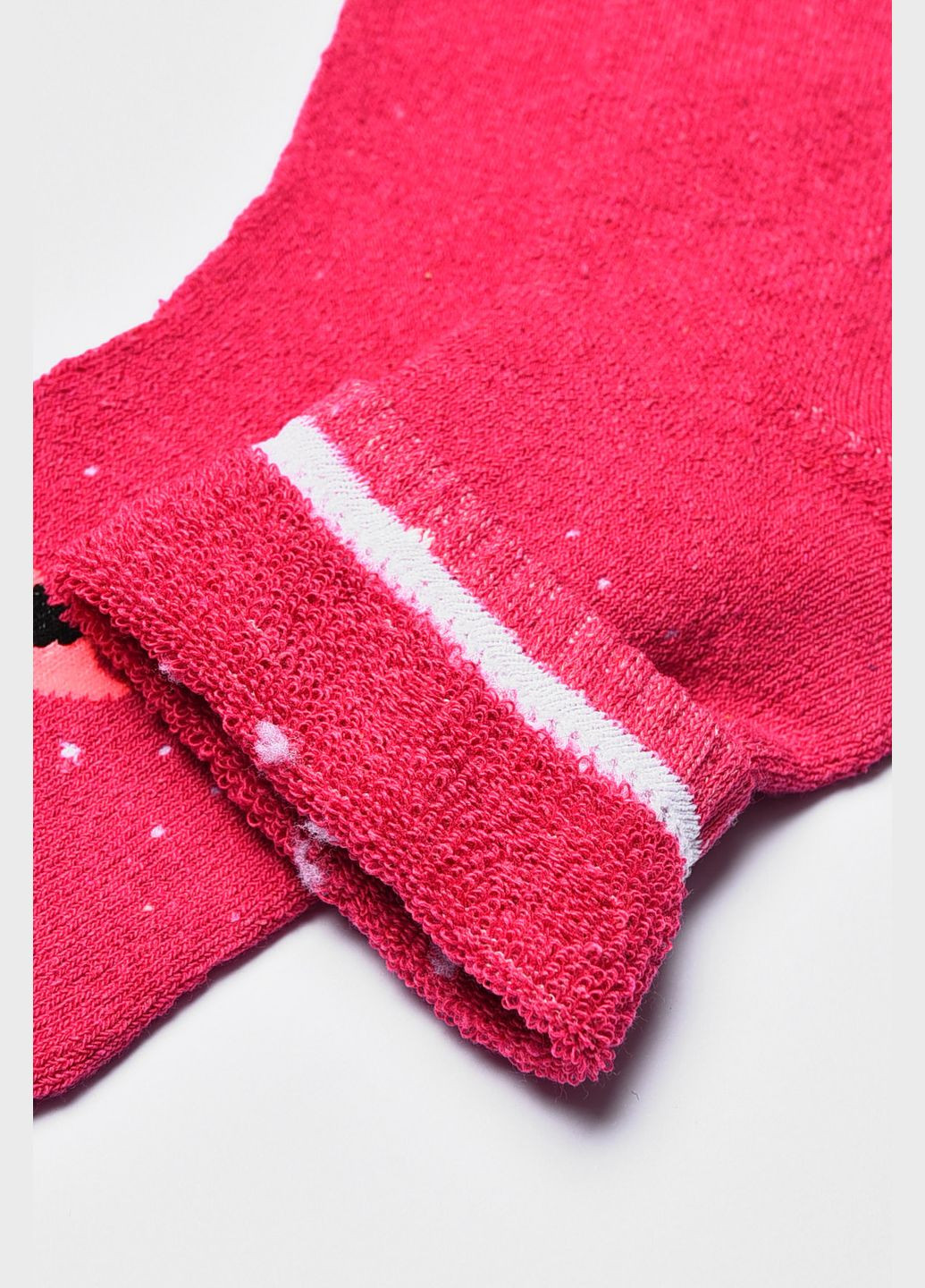 Рожеві шкарпетки жіночі махрові рожевого кольору Let's Shop малюнки (305389347)