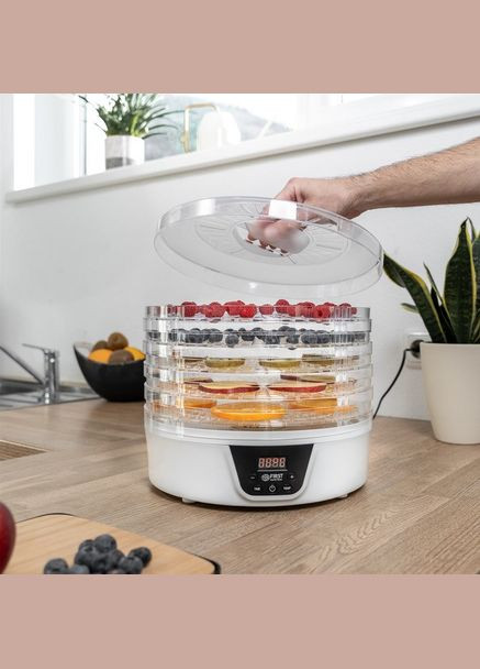 Сушилка FA-5126-8 First (332976138)