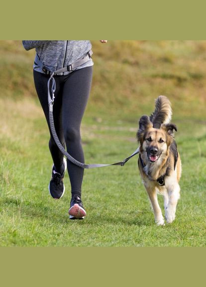Пояс-шлея для собак с неопреновой подкладкой пояс 70–130 см х 9 см, шлейка 1,20–1,50 см Trixie (333822599)