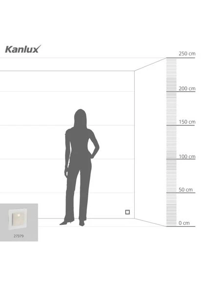 Светильник настенный 27379 Apus LED PIR NW Kanlux (305759112)