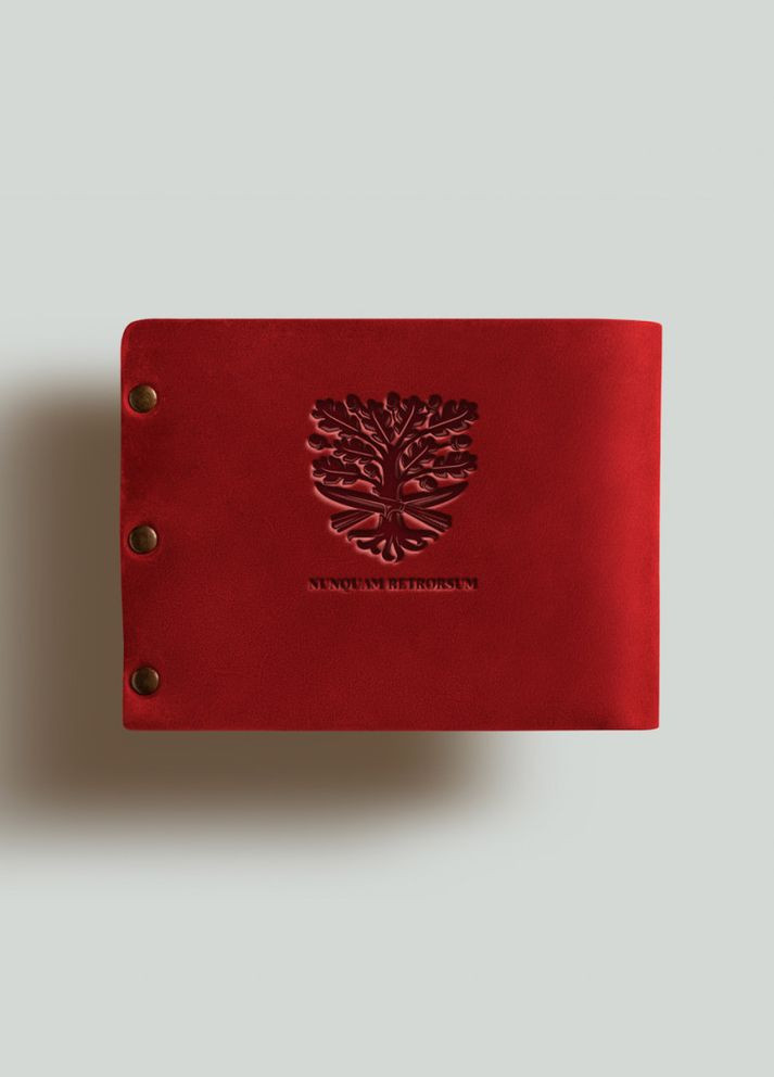 Кошелек на заклепках Холодный Яр натуральная кожа Crazy horse с отделениями для карт Turtle (302660198)