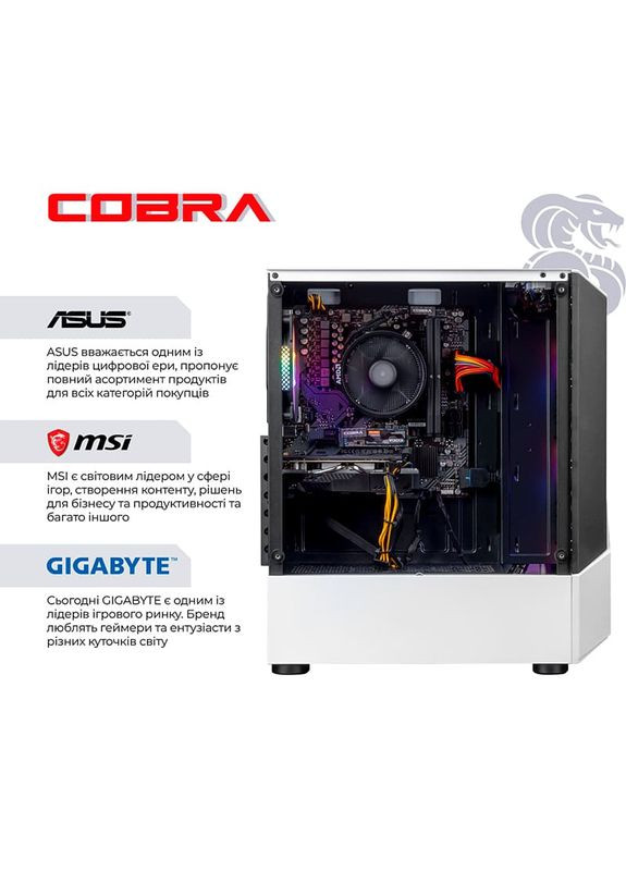 Компьютер Advanced (A45.32.S10.96XT.22592) Cobra (368901348)