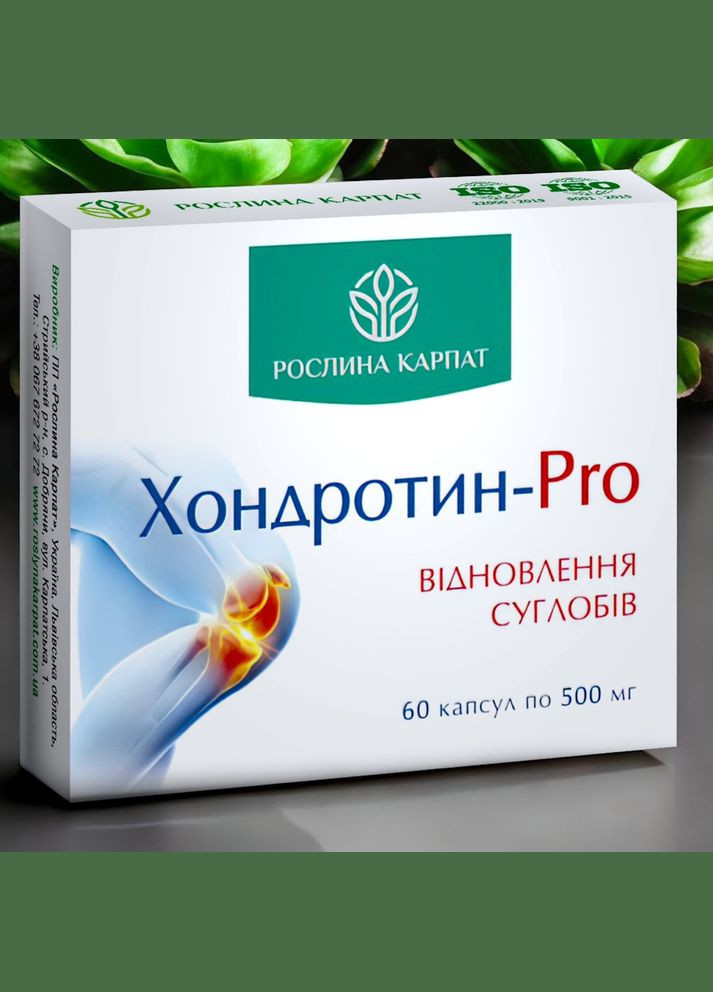 ХОНДРОТИН - PRO - ПРЕПАРАТ ДЛЯ УЛУЧШЕНИЯ СОСТОЯНИЯ ПРИ ЗАБОЛЕВАНИЯХ ОПОРНО-ДВИЖЕННОГО АПАРАТА (60 табл) Рослина Карпат (339042439)