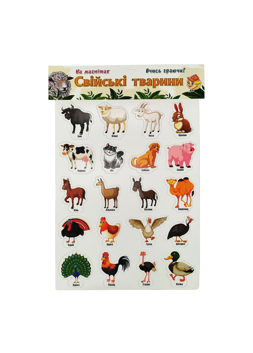 Набор магнитов "Домашние животные" Artos 1243ATS Укр. 20 шт. Artos Games (364129321)