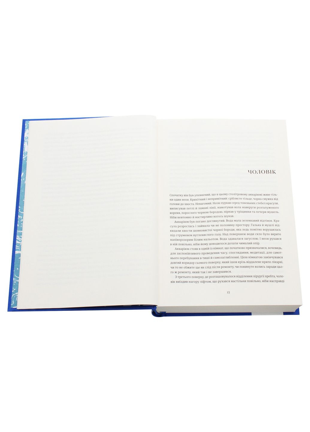 Амадока — Андрухович София |, книга на украинском, новая, твердая Видавництво Старого Лева (362679397)