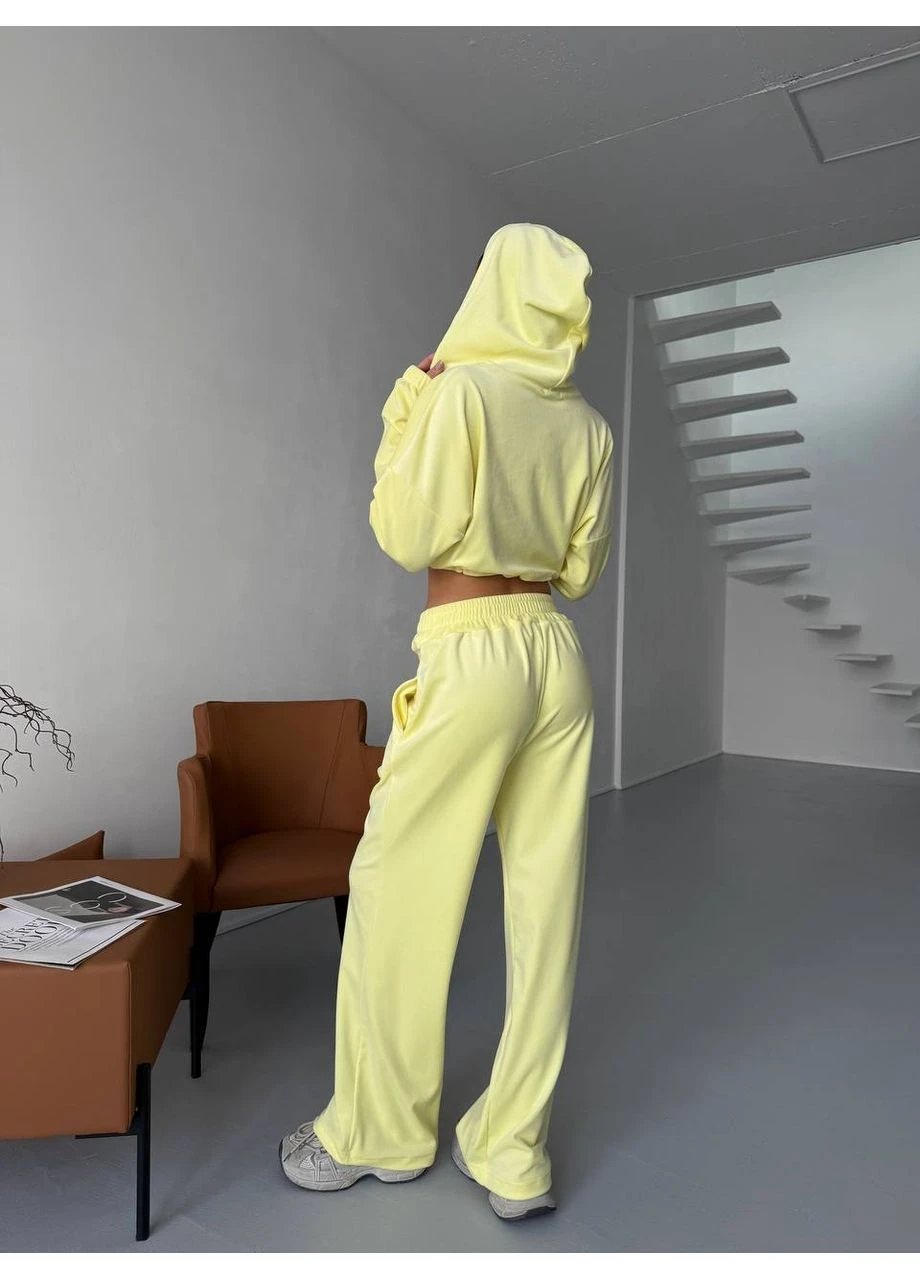 Жіночий велюровий спортивний костюм Asi.Store.ua (385207763)