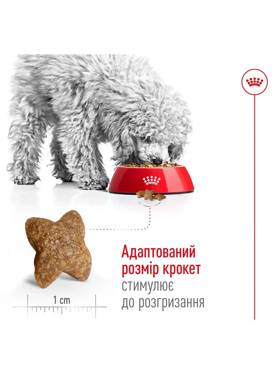 Mini Adult (Рояв Канін Міні Едалт) сухий корм для маленьких дорослих собак 4-10 кілограм від 10 місяців 8 кілограмів. Royal Canin (319158786)