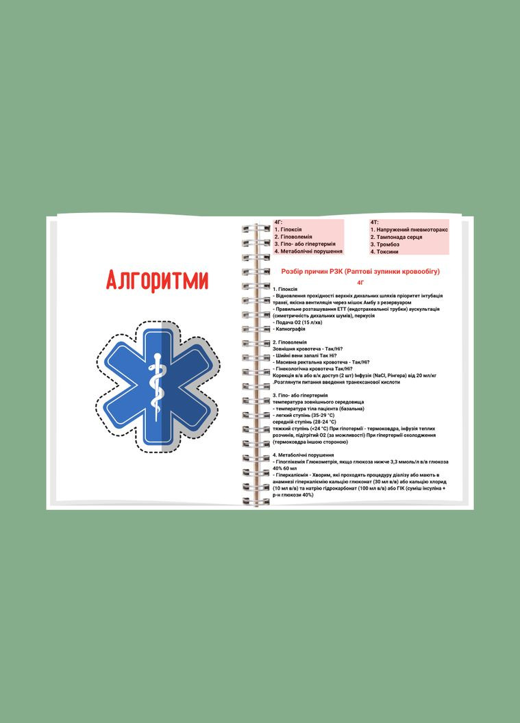 Планер (блокнот) фельдшера А5 No Brand (329153777)