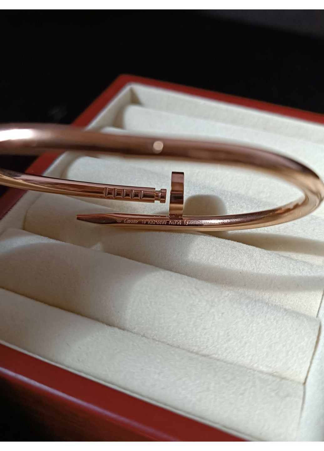 Браслет-гвоздь женский из медицинской стали с фианитами No Brand (368713753)