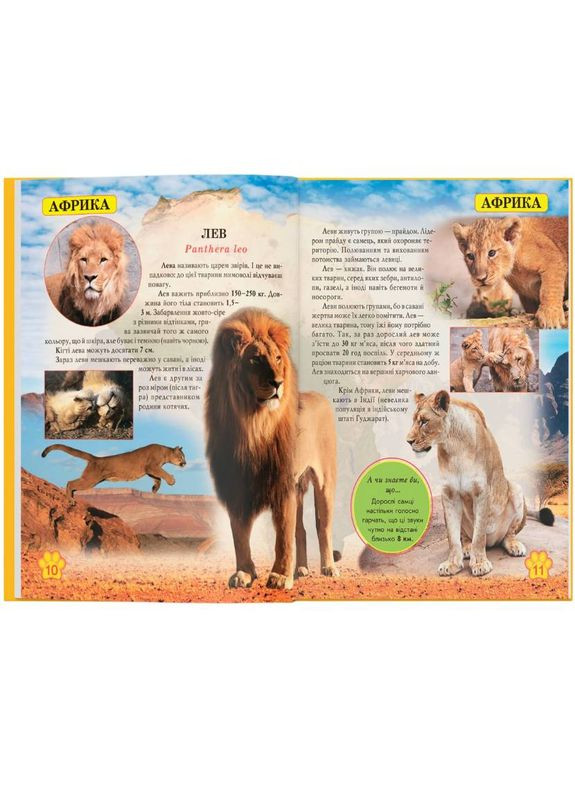 КНИГА Світ навколо нас. Дикі тварини 2019 (978-966-936-942-0) Кристал Бук (347175405)