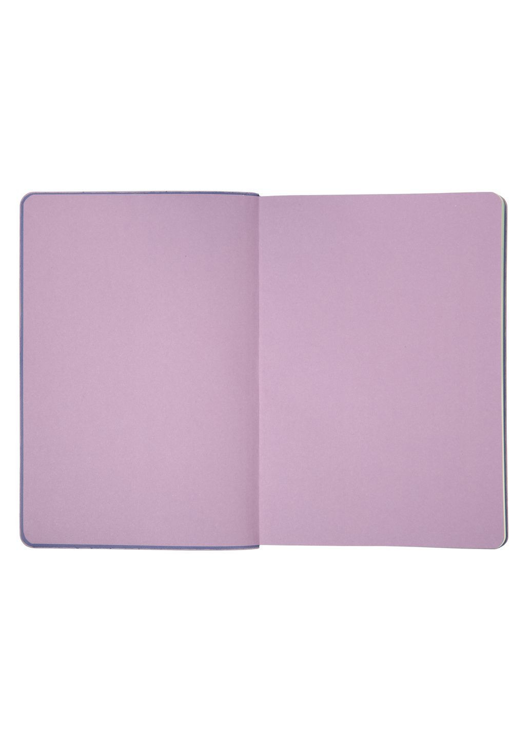 Ежедневник А5 Prima 320 с Сиреневый (252701) Leo Planner (362587848)