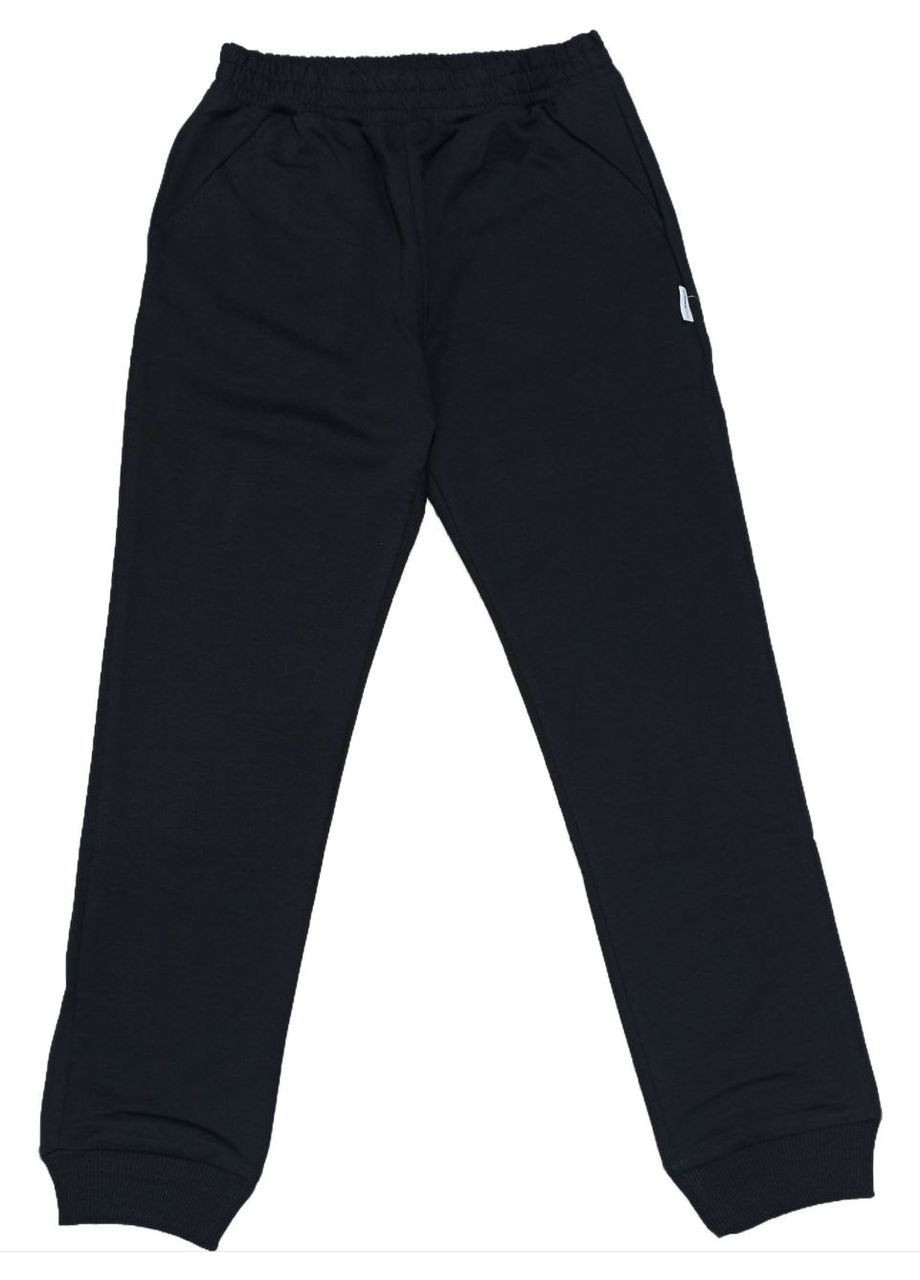 Штани спортивні на хлопчика Робінзон Robinzone (367261882)